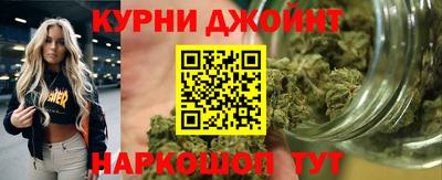 гашик Донецк