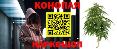 молекула духа Заволжье