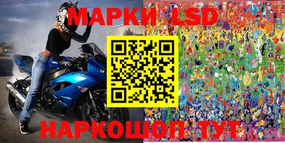 гашик Донецк