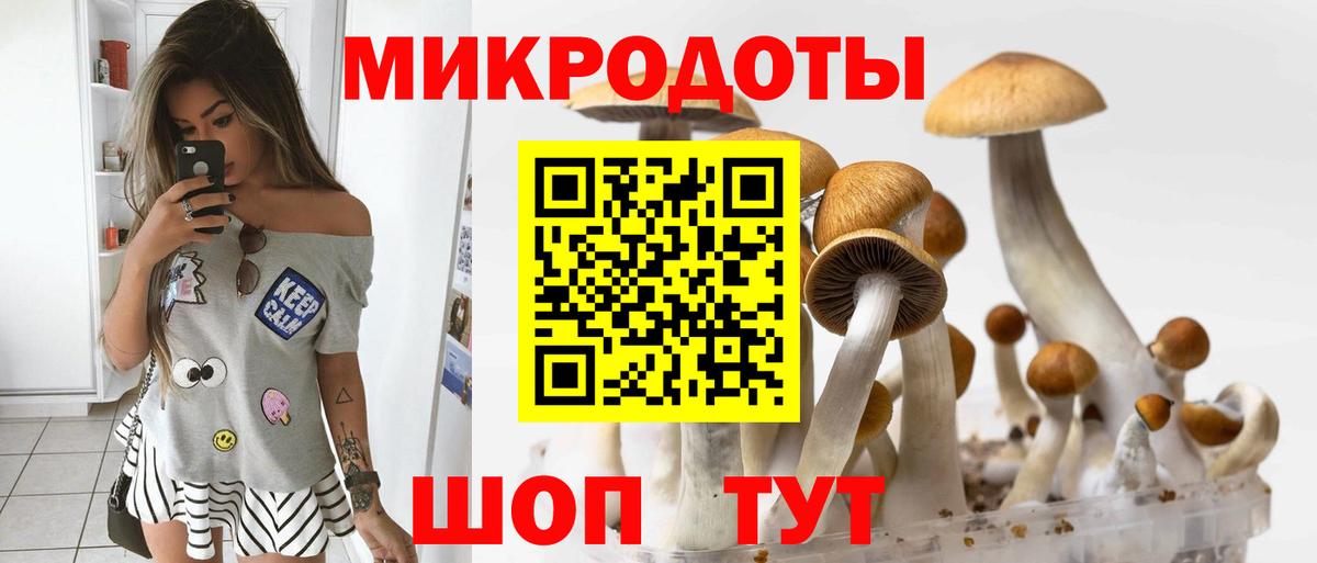 Псилоцибиновые грибы Magic Shrooms Междуреченск