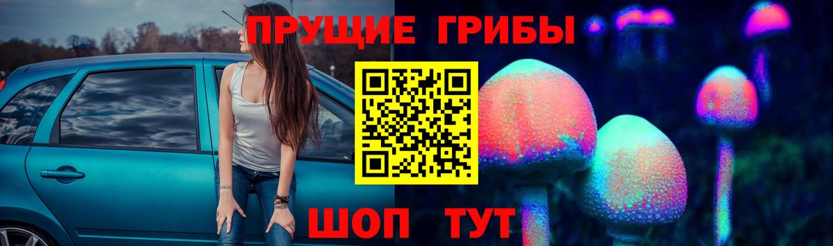 Галлюциногенные грибы мицелий  Псилоцибиновые грибы MAGIC MUSHROOMS  Междуреченск  Вход с VPN 